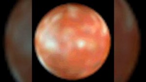 Звуки элары спутника юпитера