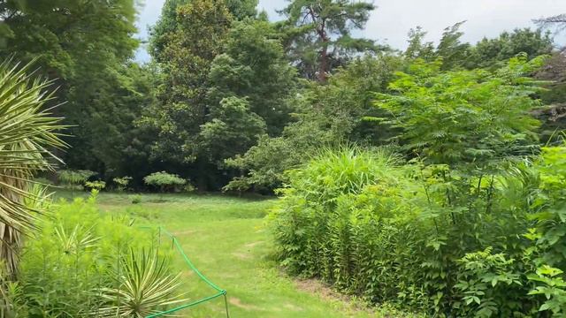 アツバキミガヨラン смотреть онлайн