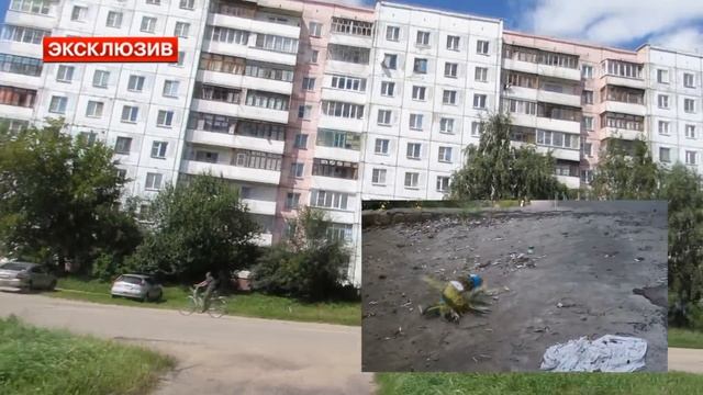 В поисках Mamix'а / Как я нашёл дом, где живёт Мамикс [ЭКСКЛЮЗИВ]