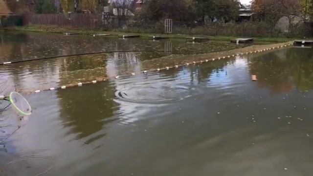 Поимка форели на херабуну. РК Фишка Липки. смотреть онлайн