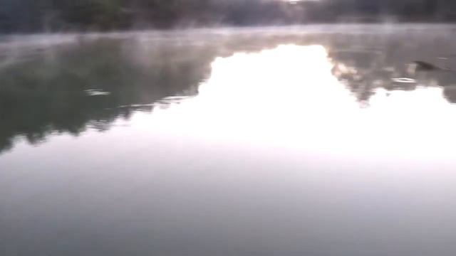 Туманный рассвет смотреть онлайн