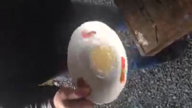 Как проверить мёд смотреть онлайн