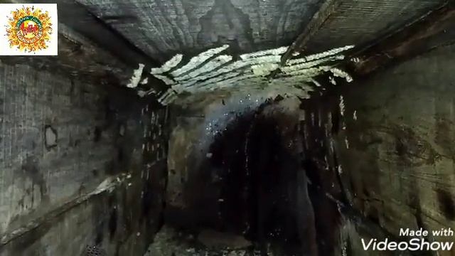 Вырезка колодного мёда из 20 колоды смотреть онлайн