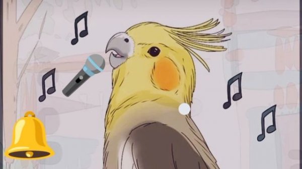 корелла учим "don't worry be happy"?????❤️cockatiel"worry be happy" папугаи корелла
