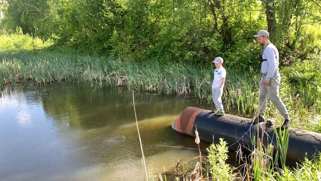 Недорогой аэратор для пруда 200 куб.м смотреть онлайн