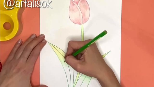 Рисуем тюльпан просто и пошагово акварельными карандашами с детьми смотреть онлайн