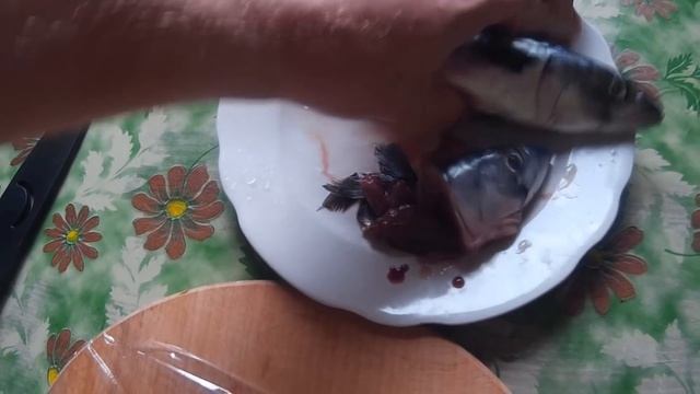 Копченая скумбрия в домашних условиях без коптильни и дымка. смотреть онлайн