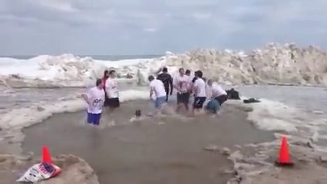 thinkorswim Polar Plunge смотреть онлайн