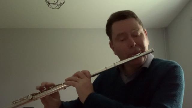 « La Tempesta Di Mare » of Antonio vivaldi - Franck Douvin Flute смотреть онлайн
