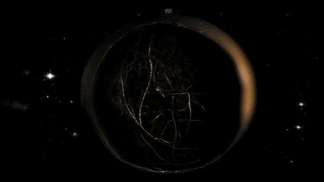 Ingrid Michaelson, Parachute