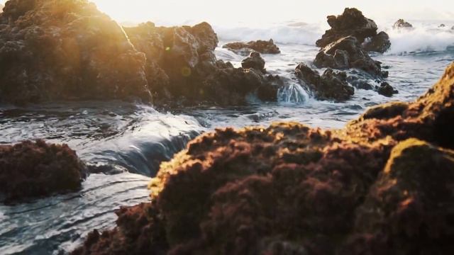 ✌🏻 New Beatiful Nasheed |🕋Ramadan Nasheed🖤2023☪ | نشيد رمضان 🤍 смотреть онлайн