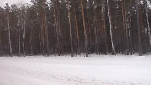 Красноярск из окна автобуса. "Академия биатлона - СФУ". смотреть онлайн