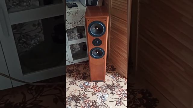 ASW Cantius V смотреть онлайн