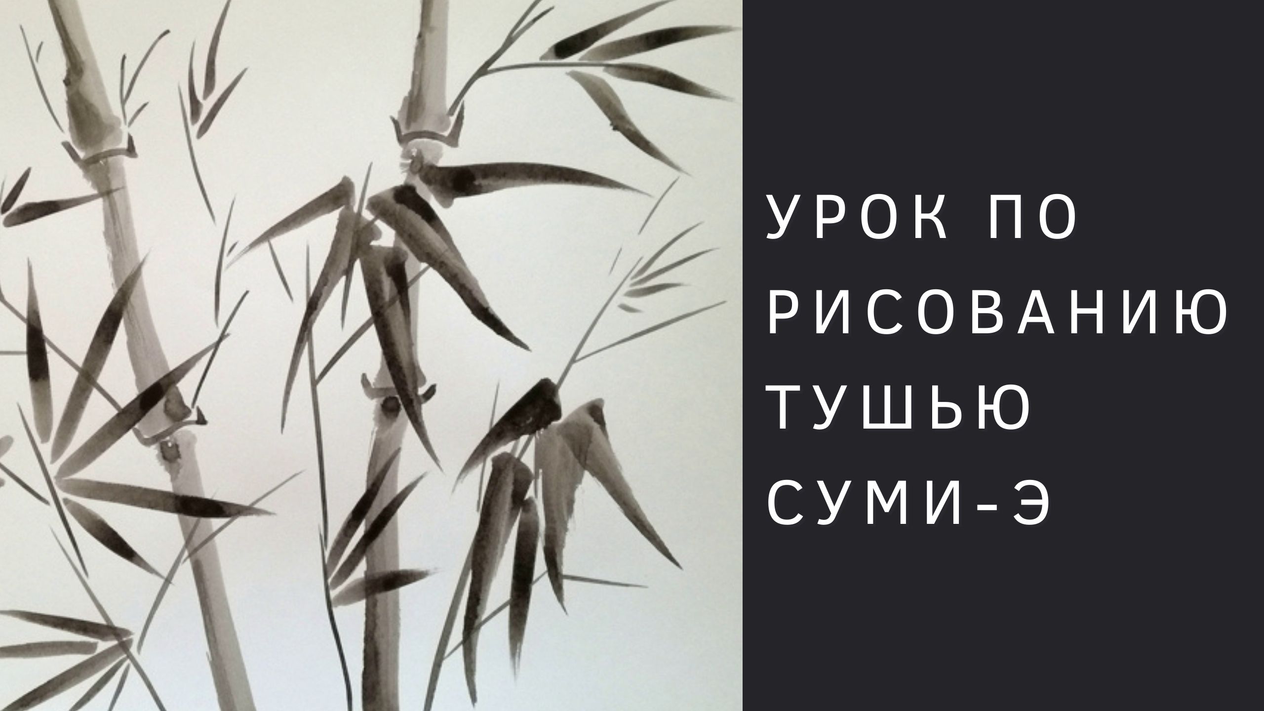 Как нарисовать бамбук тушью | Пошаговый урок смотреть онлайн