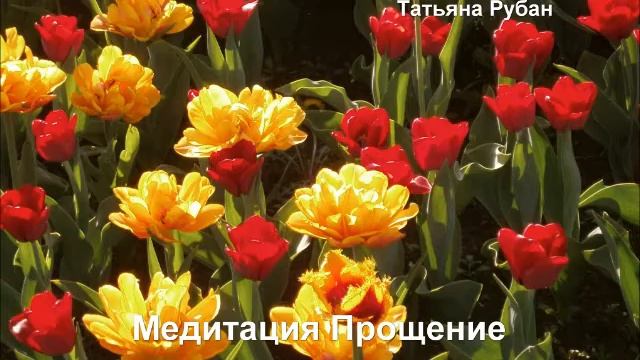 Медитация Прощение короткая смотреть онлайн