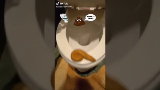 Какашка на унитазе смотреть онлайн