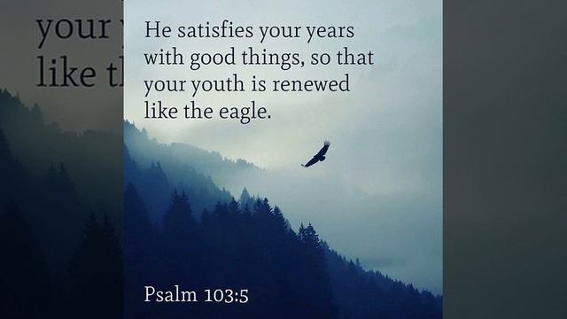 Rəbbə alqış et, ey könlüm. Благослови, душа моя, Господа. Bless the Lord, O my soul. смотреть онлайн