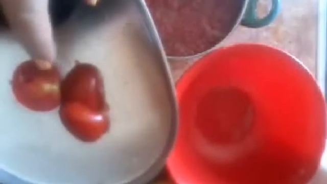 Интересные Факты о Животных