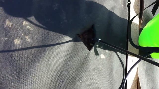 2017.04.09.3. Обработка земляники медным купоросом смотреть онлайн