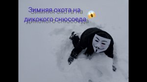 Зимняя охота на дикого снюсоеда?