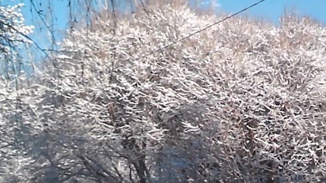 Дети с задором и красота смотреть онлайн