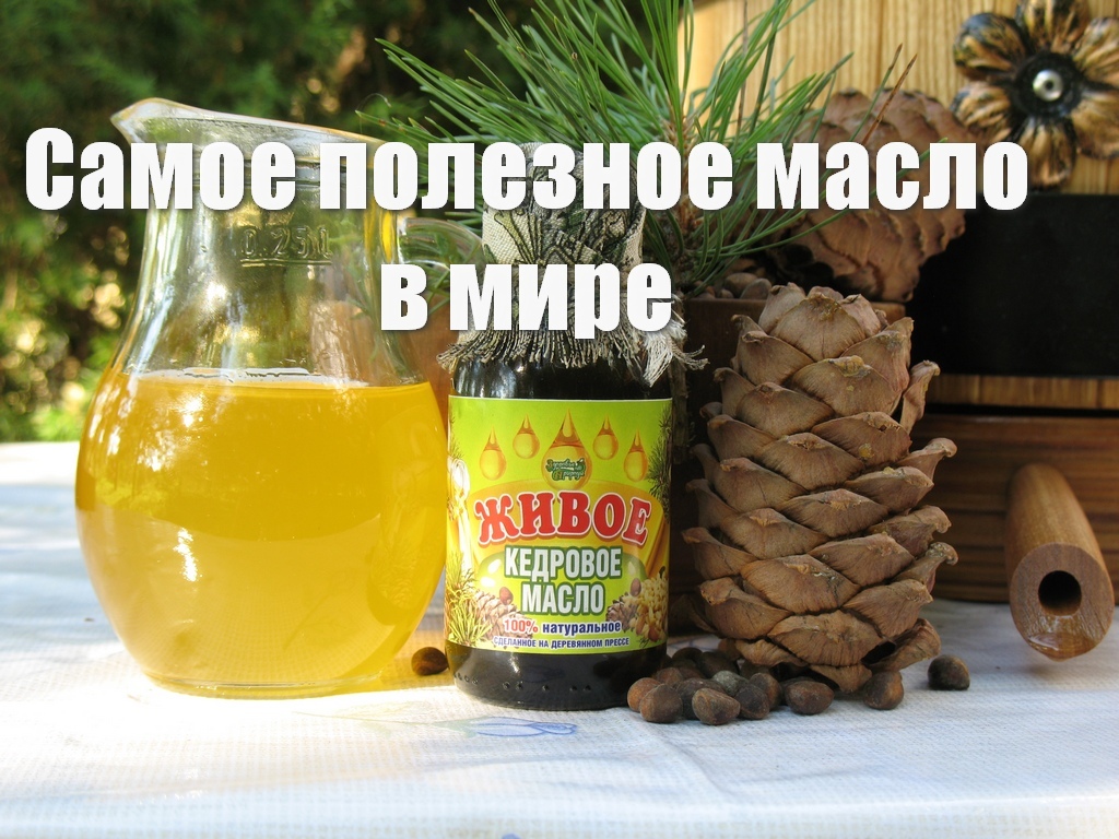 Кедровое масло Живое смотреть онлайн