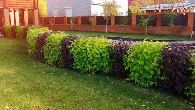 Ландшафтный дизайн своими руками. Оригинальные идеи / DIY landscape design смотреть онлайн