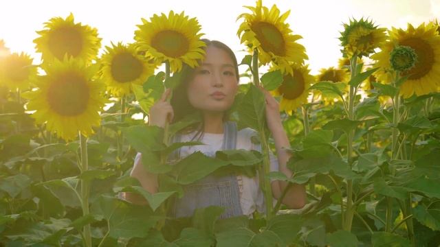 Sunflower Girlfriends смотреть онлайн