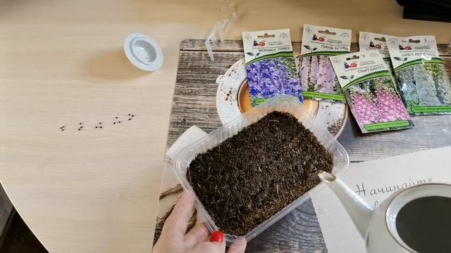 Температурный шок - "из огня да в полымя". Посев новозеландских дельфиниумов и рябчиков на кипяток. смотреть онлайн