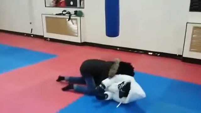 Который держет лапу мой тренер по тхэкфондо смотреть онлайн