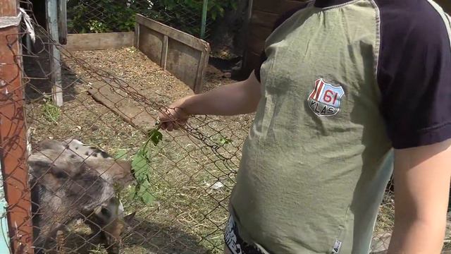 Пляжи Херсона  Херсон