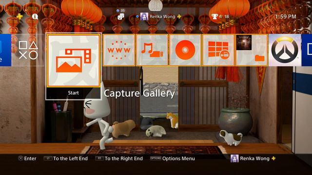 PlayStation Plus Toro & Puppies Dynamic Theme PS4 смотреть онлайн