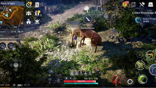 BLACK DESERT MOBILE GAMEPLAY - SNAPDRAGON 855 (MAX SETTINGS) смотреть онлайн