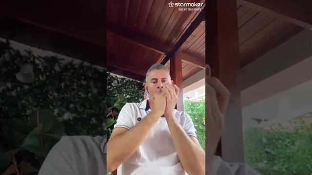 A mi manera - Armónica diatónica - Tonalidad C смотреть онлайн
