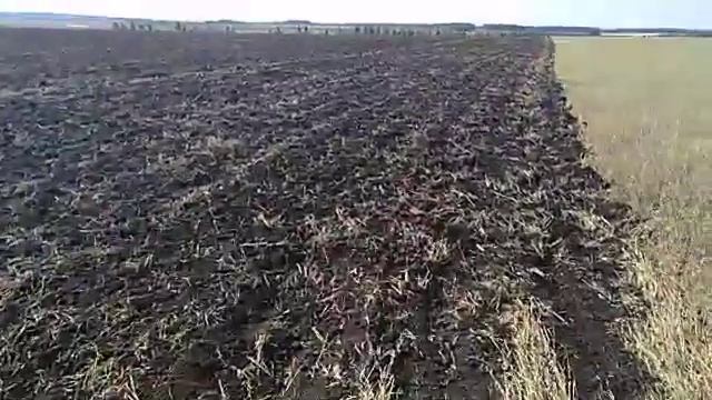 Поле после прохода культиватора КПО-10,8. Курганская область. смотреть онлайн