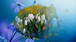 8 марта.  Проект для Proshow Producer.