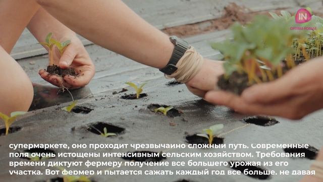 Проблема дефицит витаминов и минералов смотреть онлайн