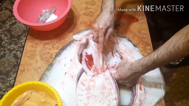 Как разделать морского кота (ската) смотреть онлайн