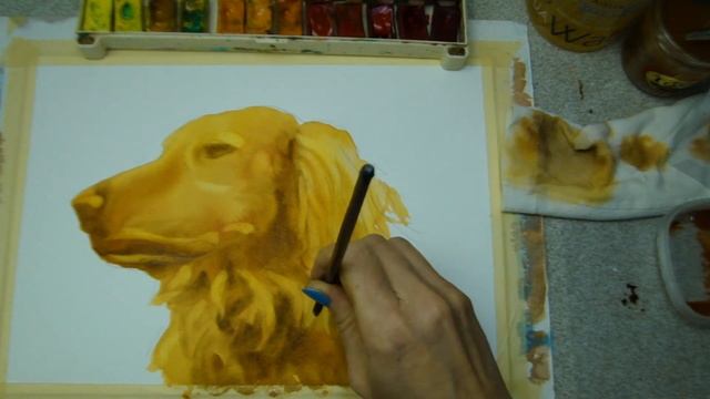 Come #dipingere #RITRATTO #CANE ad #acquerello/ Как #нарисовать #морду #CОБАКИ #Dog #Watercolor смотреть онлайн