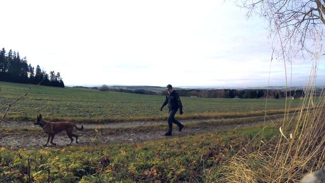 Wandern mit Hund - Katzenstein - Affalter Lost Place Notlandung DJI Drohne смотреть онлайн
