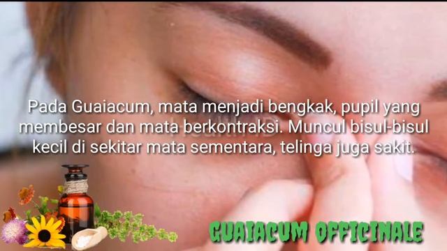 Guaiacum Officinale | Homeopathy Materia Medica Indonesia | Homeopati
