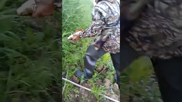 Рыбалка. Ловля голавля на кораблик. смотреть онлайн