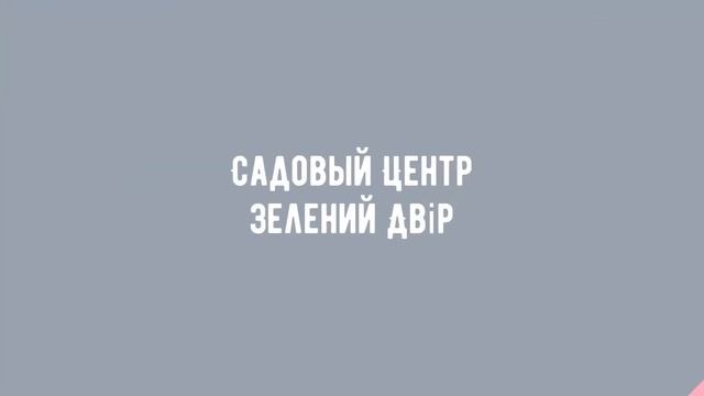 Садовый Центр Зелений Двір - Можжевельник горизонтальный Andorra Compacta C3 смотреть онлайн