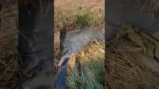 ЖК Тургеневский-2, протекающая канализация смотреть онлайн