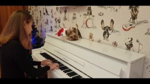 Хорватская рапсодия // Croatian Rhapsody. Tonci Huljic (for Maksim Mrvica)