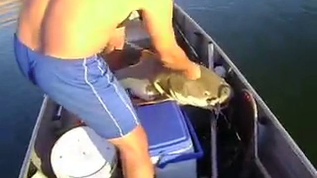 Pescaria Pirarara Fabio Alves 2 смотреть онлайн