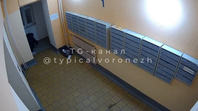 #туалет #гавно #подъезд #хулиган