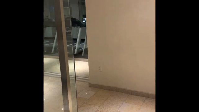The Henry Autograph Hotel Dearborn MI Review. смотреть онлайн