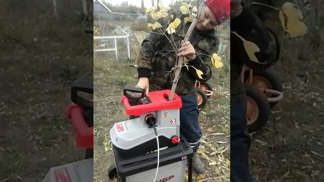 Садовый измельчитель ЗУБР, Россия смотреть онлайн