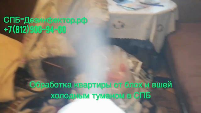 Обработка квартиры от блох и вшей холодным туманом СПб +7(812)900 94 00 СПб Дезинфектор СЭС смотреть онлайн